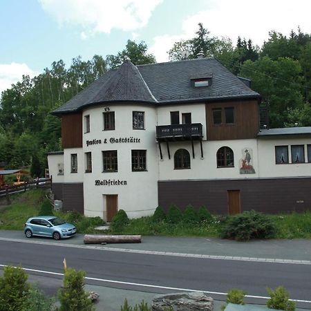 Hotel Waldfrieden Elsterberg 外观 照片