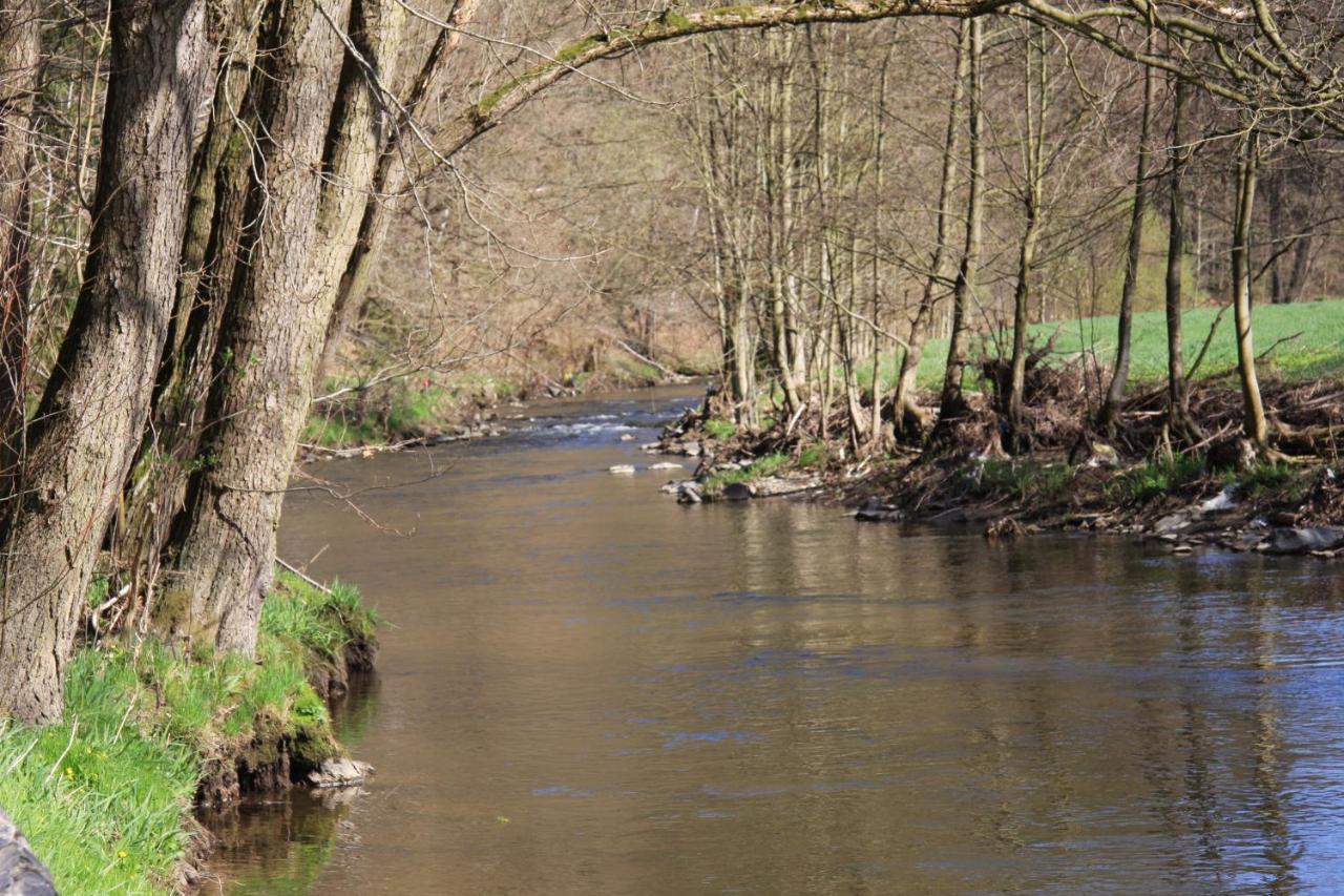 Hotel Waldfrieden Elsterberg 外观 照片