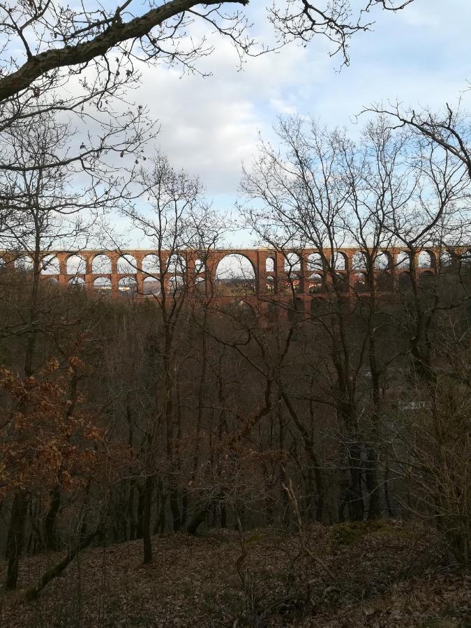 Hotel Waldfrieden Elsterberg 外观 照片